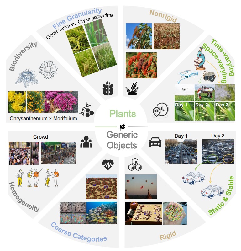 Comparison between plants and generic objects